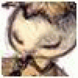 Alonzocep
