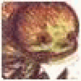 JesseCyday