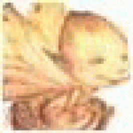 LeonardBic