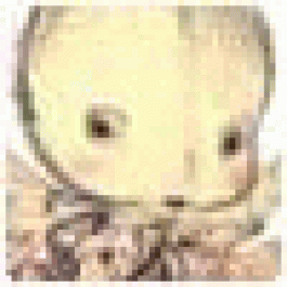 Ernestnus