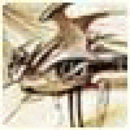 Occuth