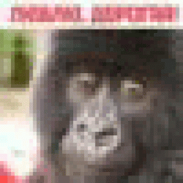 Uniobe