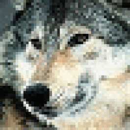 MwoerjTup