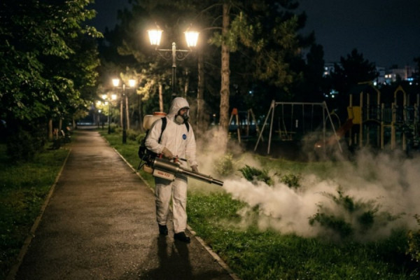 В Сосновом Бору идет борьба с клещем