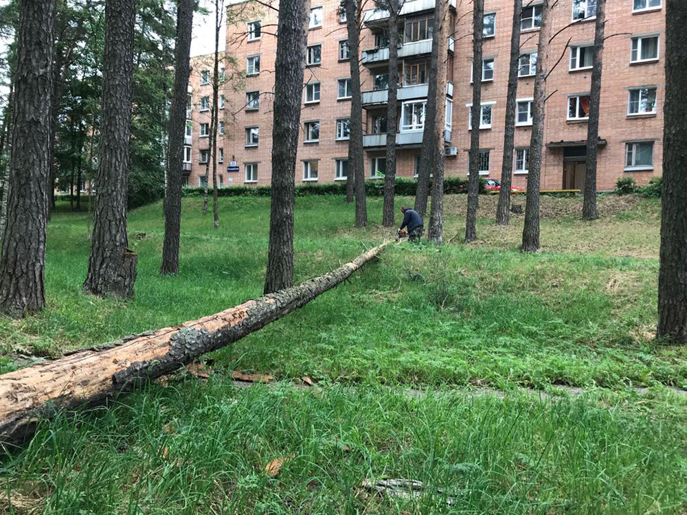«Чистый четверг»