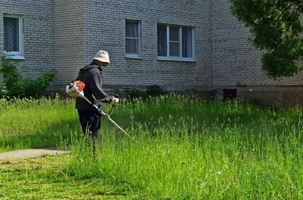 В Сосновом Бору готовятся к лету