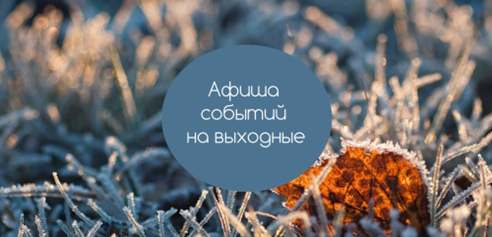 Чем заняться на выходных в Сосновом Бору. Афиша мероприятий